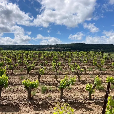Willa Comfortable With Jacuzzi