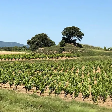 Comfortable With Jacuzzi * Montbrun-des-Corbières