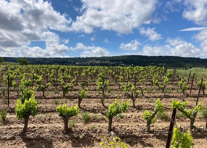 Villa Comfortable With Jacuzzi