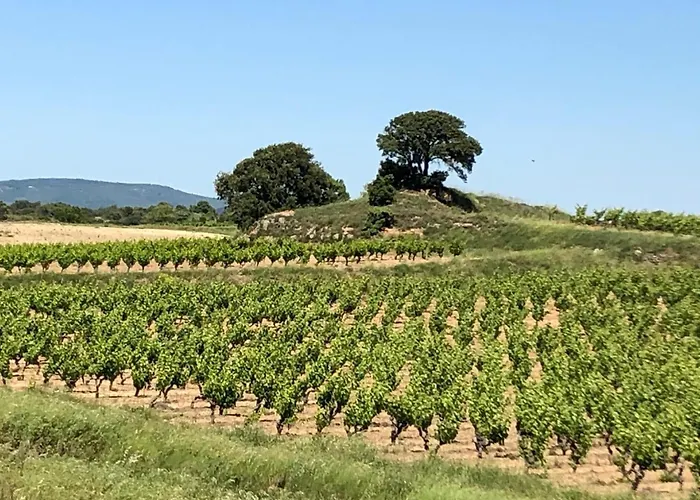 Comfortable With Jacuzzi * Montbrun-des-Corbières